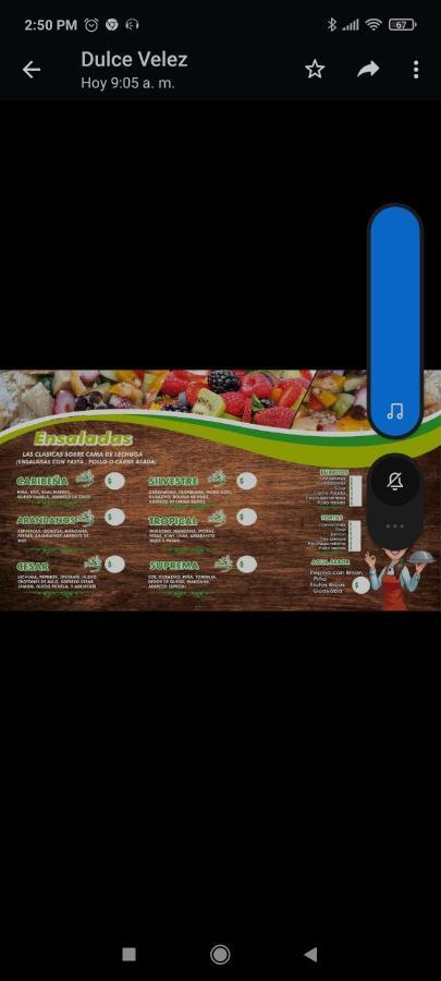 Hotel Tolotzin 톨루카 외부 사진